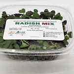 radish mix microgreens
