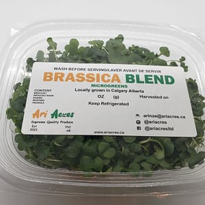 brassica blend microgreens