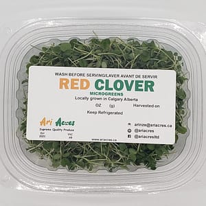 red clover microgreens