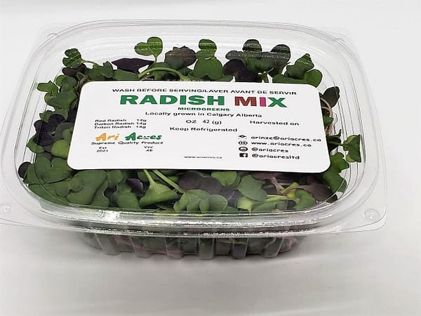 radish mix microgreens