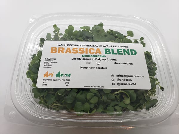 brassica blend microgreens