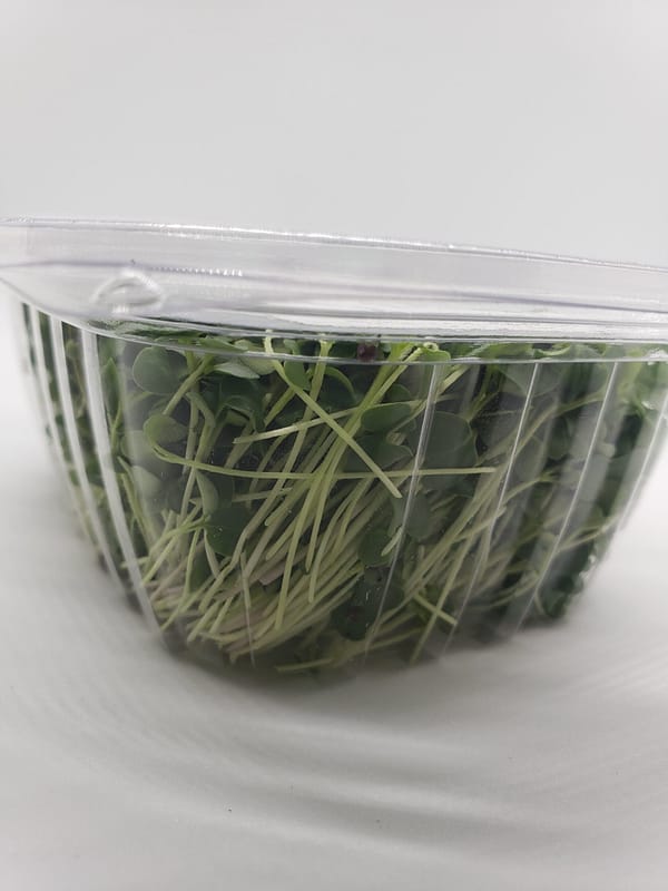 Brassica Blend - Image 2