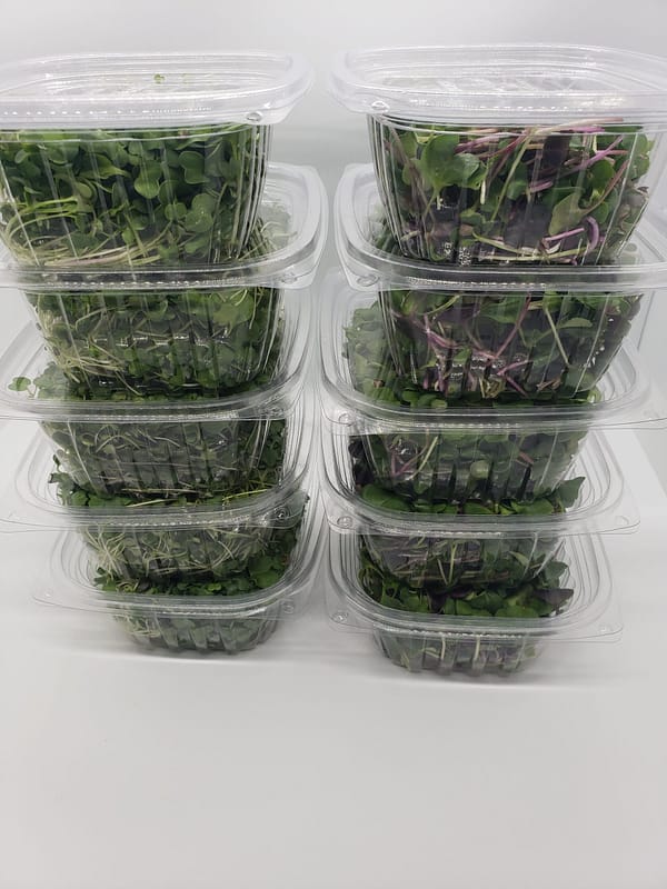 4 Boxes per week